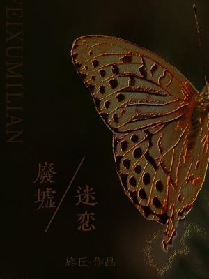 废墟迷恋封面
