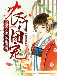 阮宁柳澈封面