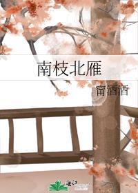 南枝北雁封面