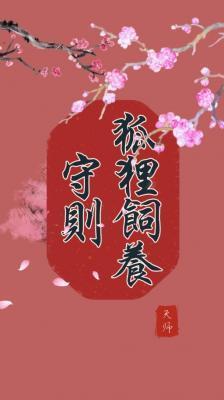 狐貍饲养守则封面