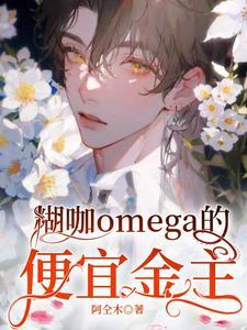 糊咖omega的便宜金主封面