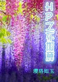 hp之不如意（养成游戏）封面