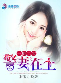一胎二宝警妻在上封面