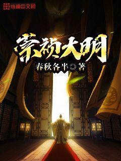 崇祯大明封面