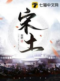 宋土封面