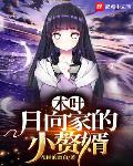 木叶：日向家的小赘婿封面