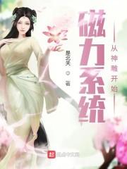 磁力系统从神雕开始封面