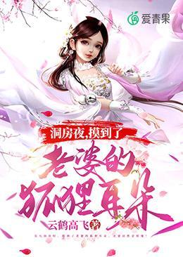 洞房夜摸到了老婆的狐狸耳朵封面
