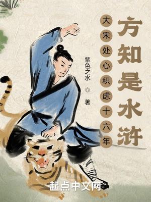 大宋处心积虑十六年，方知是水浒封面
