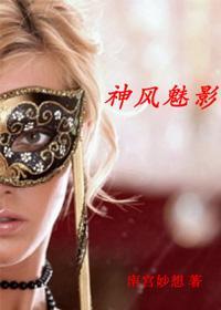 神风魅影封面