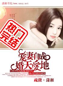 宠妻自成婚天爱地封面