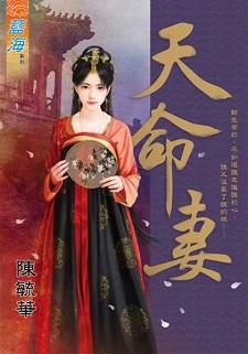 天命妻封面
