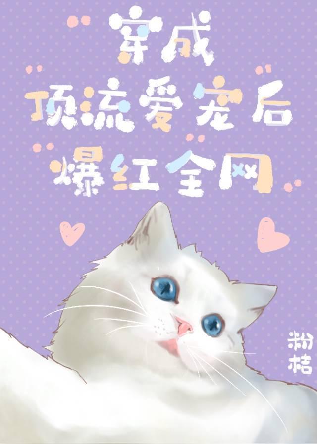 喵喵喵喵喵喵喵喵喵喵封面