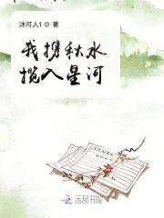 我携秋水揽入星河封面