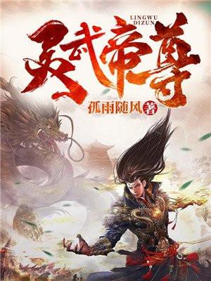 灵武帝尊封面