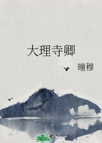 大理寺卿封面