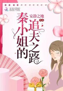 秦小姐的追夫之路封面