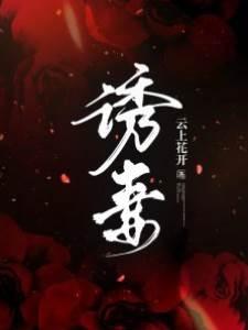 诱妻封面