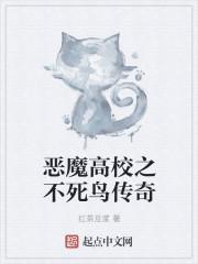恶魔高校之不死鸟传奇封面