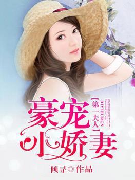 第一夫人，豪宠小娇妻封面