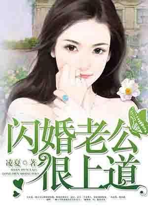 闪婚老公很上道封面