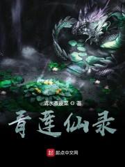 青莲仙录封面
