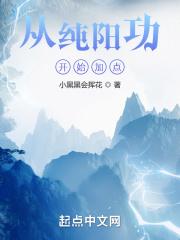 从纯阳功开始加点封面