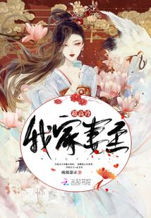 我家妻主超高冷封面
