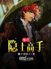 现代隐士高手封面