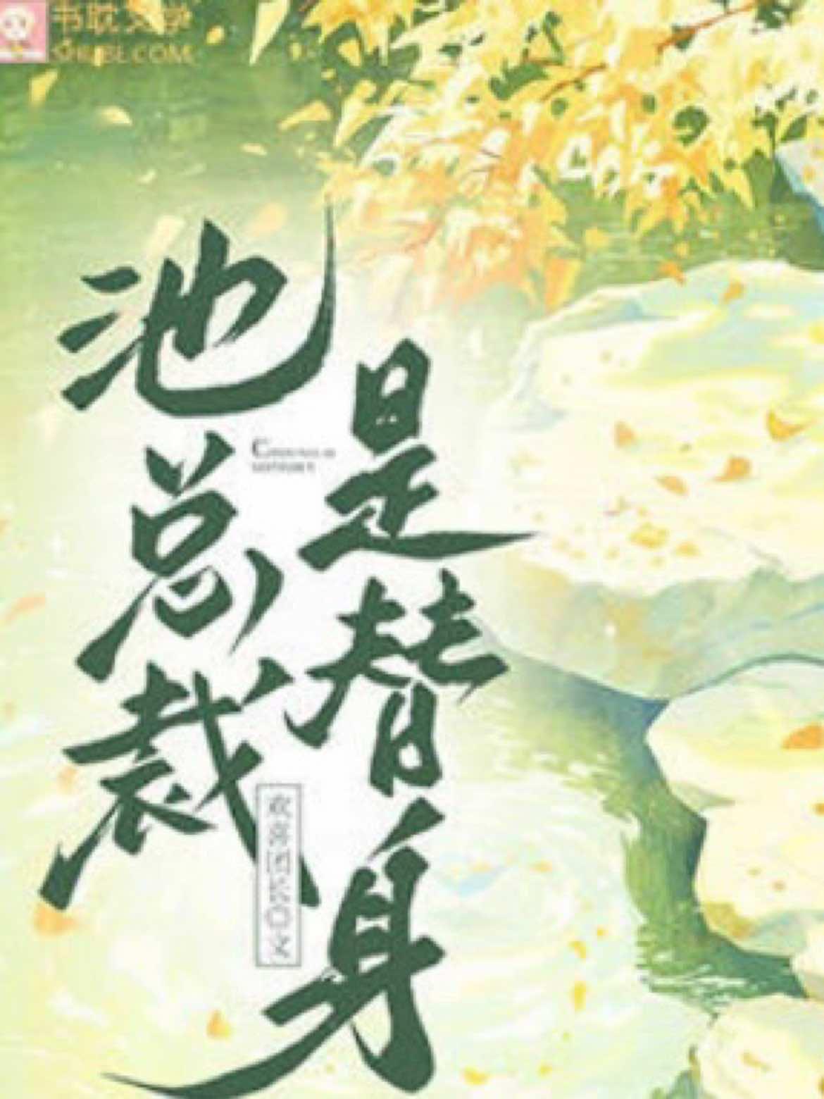 池总裁是替身封面