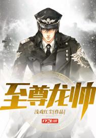 至尊龙帅封面