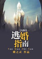 逃婚指南封面