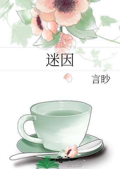 迷因封面