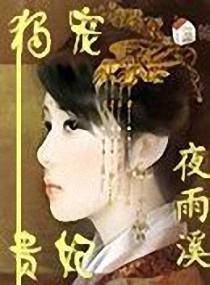 独宠贵妃封面