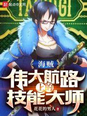 海贼：伟大航路上的技能大师封面