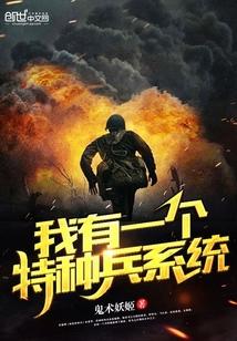 我有一个特种兵系统封面