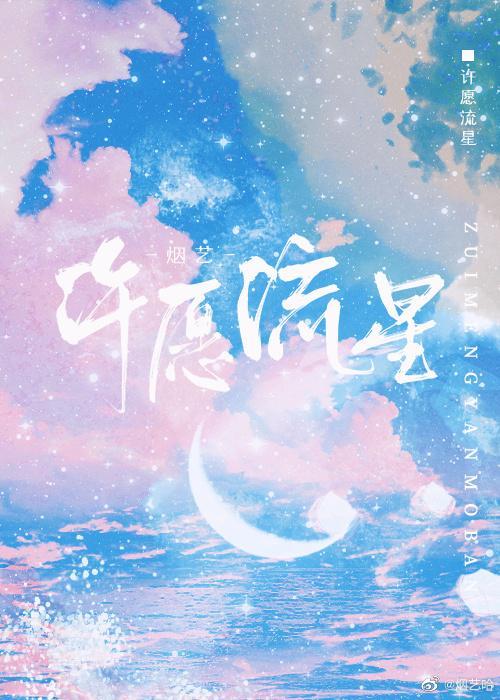 许愿流星封面