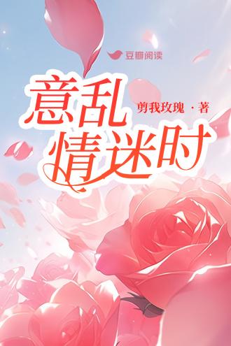 意乱情迷时封面