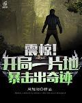 震惊！开局一片地，暴击出奇迹封面