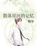 散落星河的记忆封面