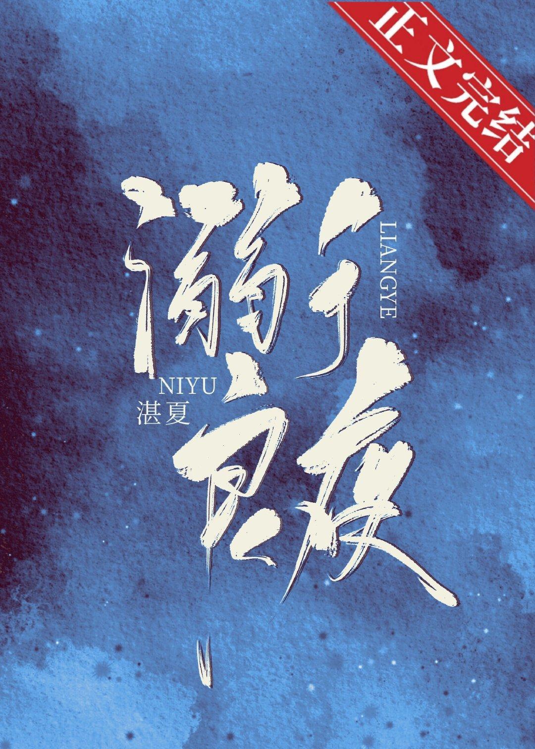 溺于良夜封面