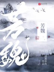 芳魏封面