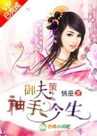 御夫策，袖手今生封面