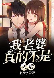 我老婆真的不是天后封面