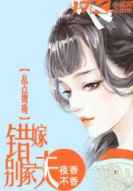 乱点鸳鸯：错嫁别家夫封面