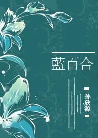 蓝百合封面