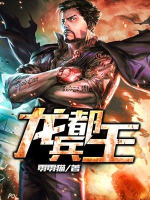 龙都兵王封面