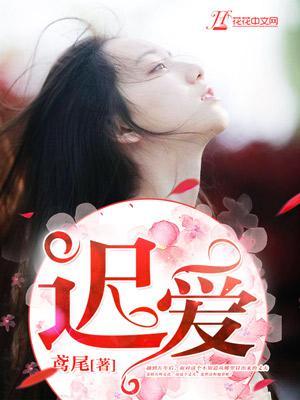 迟爱封面