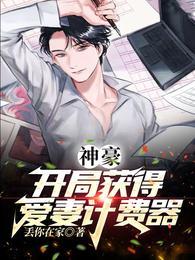 神豪：开局获得爱妻计费器封面
