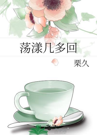 荡漾几多回封面